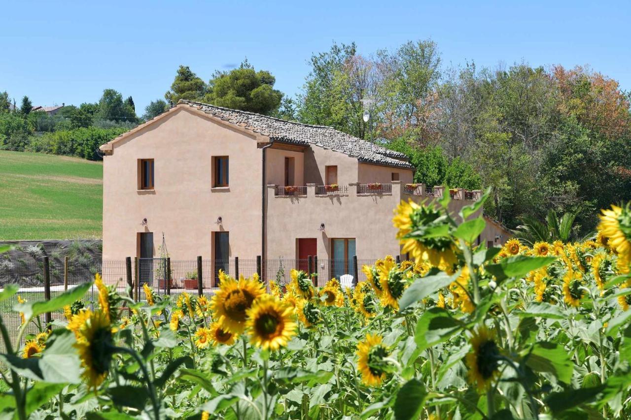 Casa Montefiore 13 Iris Lt Nella Tranquilla Campagna Marchigiana อังโกนา ภายนอก รูปภาพ