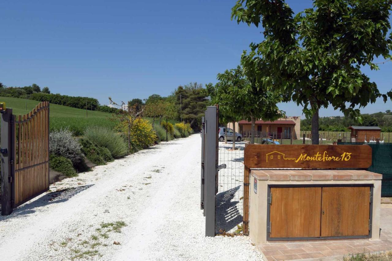 Casa Montefiore 13 Iris Lt Nella Tranquilla Campagna Marchigiana อังโกนา ภายนอก รูปภาพ